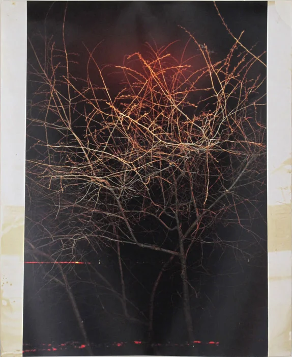 Ryan Foerster, damaged sunrise, 2005, damaged C-print, 20 x 16 in
