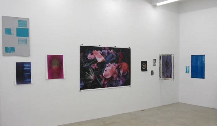 Installation view, Ryan Foerster , Martos Gallery, New York, 2012