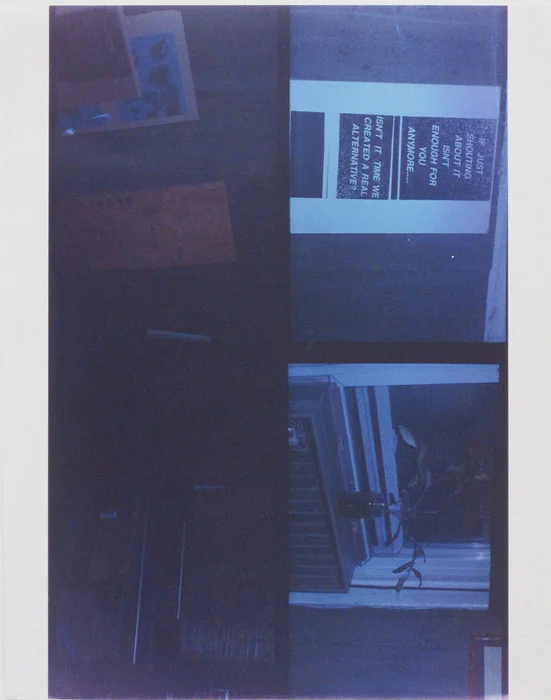 Ryan Foerster, Real Alternatives , 2012, C-print, 20 x 16 in