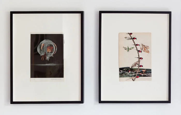 Installation view, Creature From the Blue Lagoo n, Martos Gallery, Bridgehampton, NY, 2012
