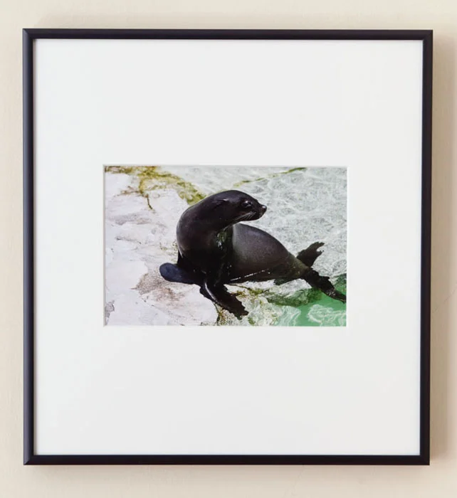 John Miller, Middle of the Day (06-17-2008) , 2008/2012, inkjet print, 8.5 x 11 in