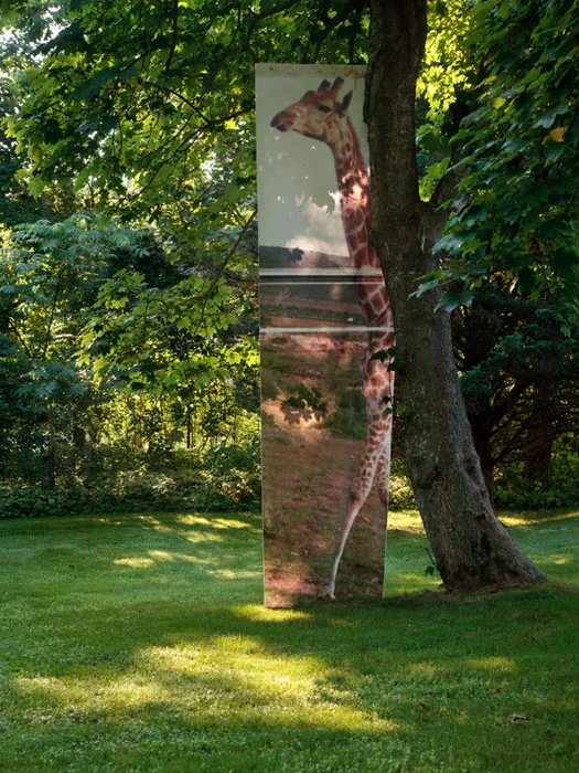 Josh Tonsfeldt, Andrew (Safari Giraffe) , 2012, pigment inks on tyvek, 162 x 44 in