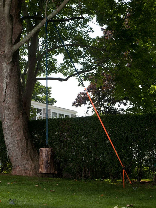 Virginia Overton, Untitled (Tree with Log #2) , 2012, log, two ratchet straps, dimensions variable