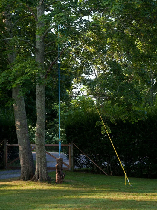 Installation view, Creature From the Blue Lagoo n, Martos Gallery, Bridgehampton, NY, 2012