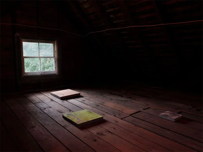 Davina Semo, DIGGING HAD GIVEN HER STRONG MUSCLES; VERY WELL; THREATEN ME; MY DAD USED TO TELL ME NOT TO CHEW ON SOMETHING THAT WAS EATING YOU; HE WOULDN’T ARGUE WITH ME-- IT WAS ONE OF THE MOST MADDENING THINGS ABOUT HIM , 2012, site-specific installation