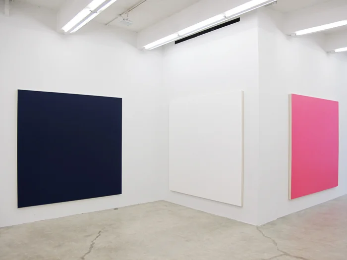 Installation view, Long Suffering , Martos Gallery, New York, 2012