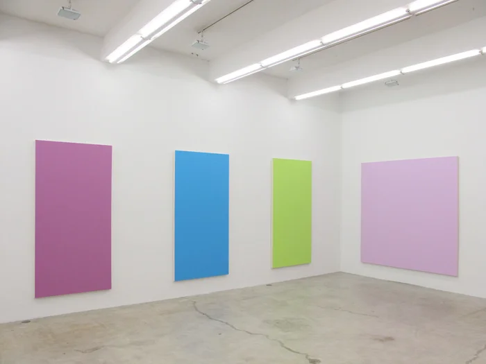Installation view, Long Suffering , Martos Gallery, New York, 2012