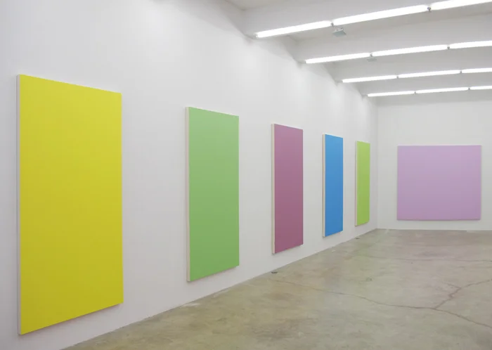 Installation view, Long Suffering , Martos Gallery, New York, 2012