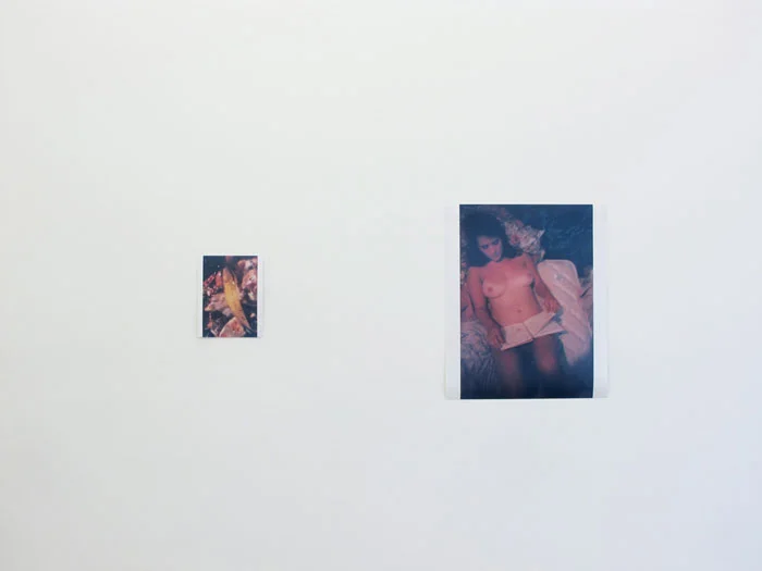 Installation view, Ryan Foerster/Ben Schumacher , Martos Gallery, New York, 2012
