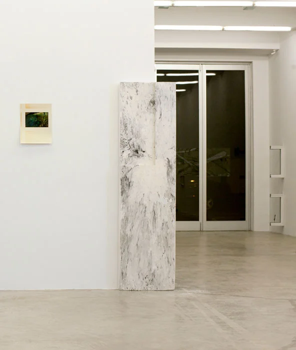 Installation view, Ryan Foerster/Ben Schumacher , Martos Gallery, New York, 2012