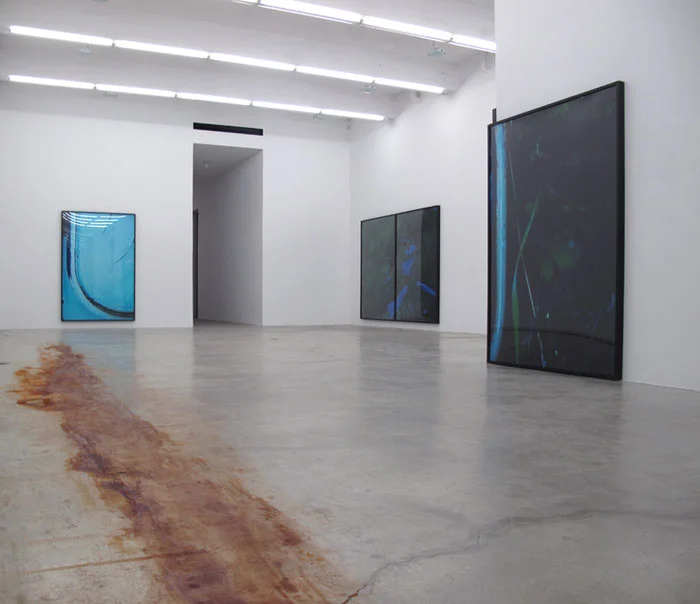 Installation view, Colin Snapp/Daniel Turner , Martos Gallery, New York, 2011