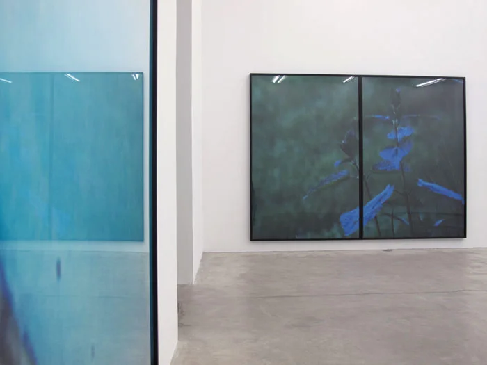 Installation view, Colin Snapp/Daniel Turner , Martos Gallery, New York, 2011