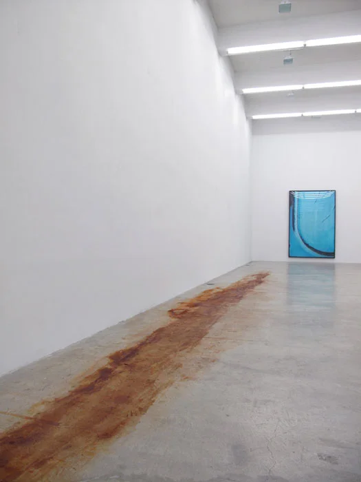 Installation view, Colin Snapp/Daniel Turner , Martos Gallery, New York, 2011