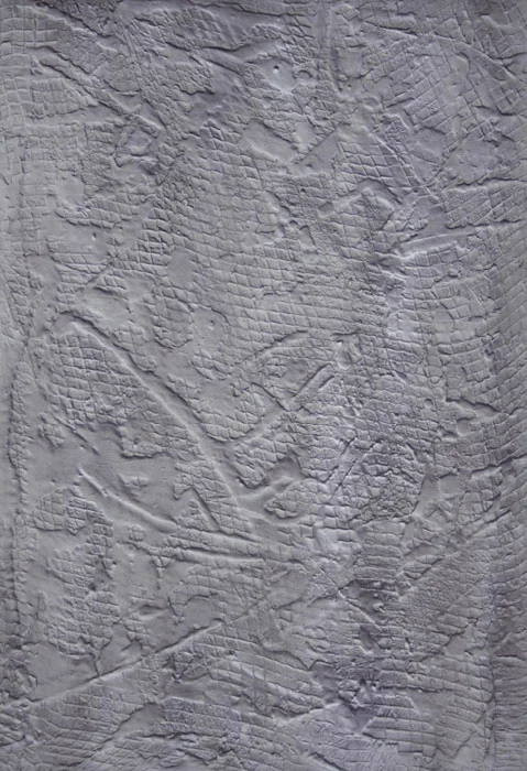 Ben Schumacher, Clamp , 2011, anchoring cement, latex, enamel and garden netting on canvas, 58 x 40 in