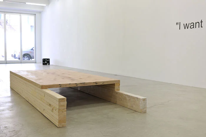 Bozidar Brazda and Caroline Snow, The Feral Child Has No Use For Art (detail), 2011, wood, plastic, vinyl text, clay, guitar amp, iPod, dimensions variable