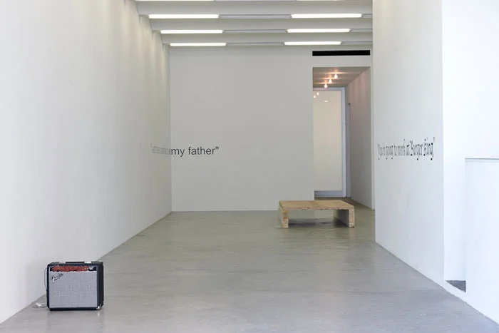 Bozidar Brazda and Caroline Snow, The Feral Child Has No Use For Art , 2011, wood, plastic, vinyl text, clay, guitar amp, iPod, dimensions variable
