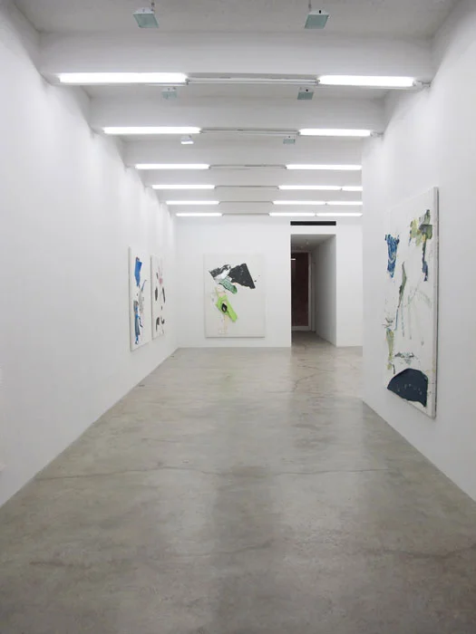 Installation view, Chameleon Jeans , Martos Gallery, New York, 2011