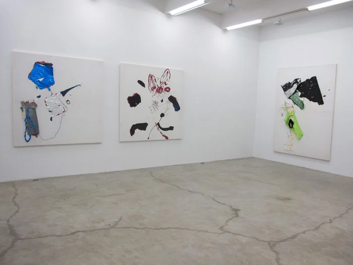 Installation view, Chameleon Jeans , Martos Gallery, New York, 2011