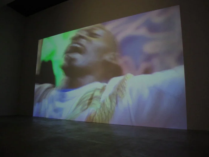 Jules Marquis and P Smith, Half Locust , 2009, digital video, 2:59 min