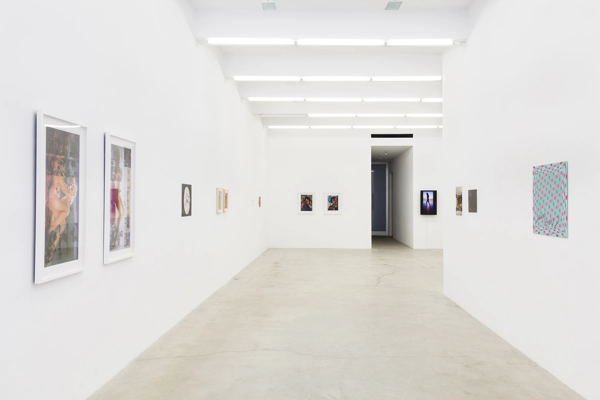 Installation view, Every day in every way I’m freely opening my senses to the beauty in myself and opening up to all the beauty around me and in all the people I will encounter , Martos Gallery, New York, 2014