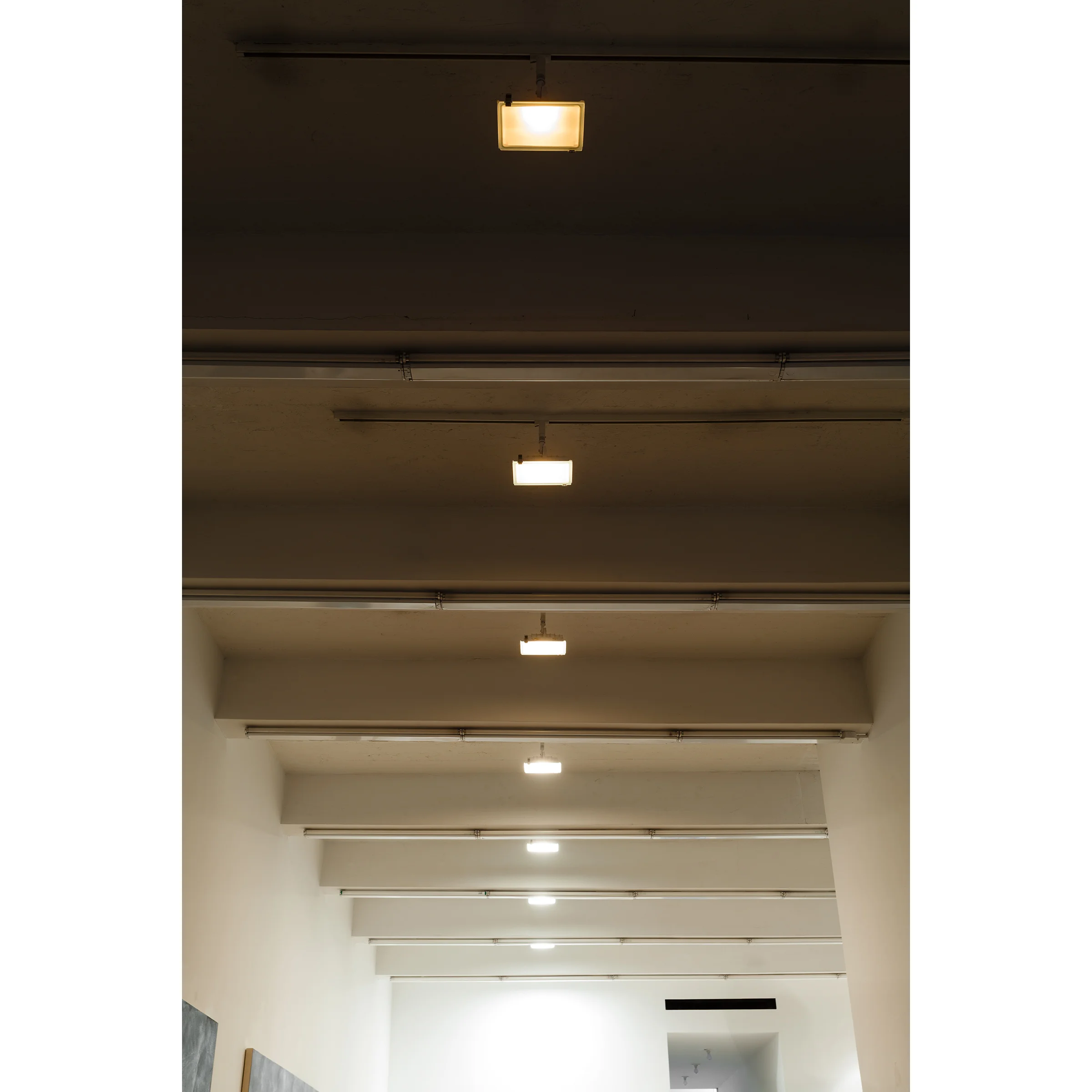 Lazaros, Kae-e-vanrash , 2015, incandescent light, dimensions variable
