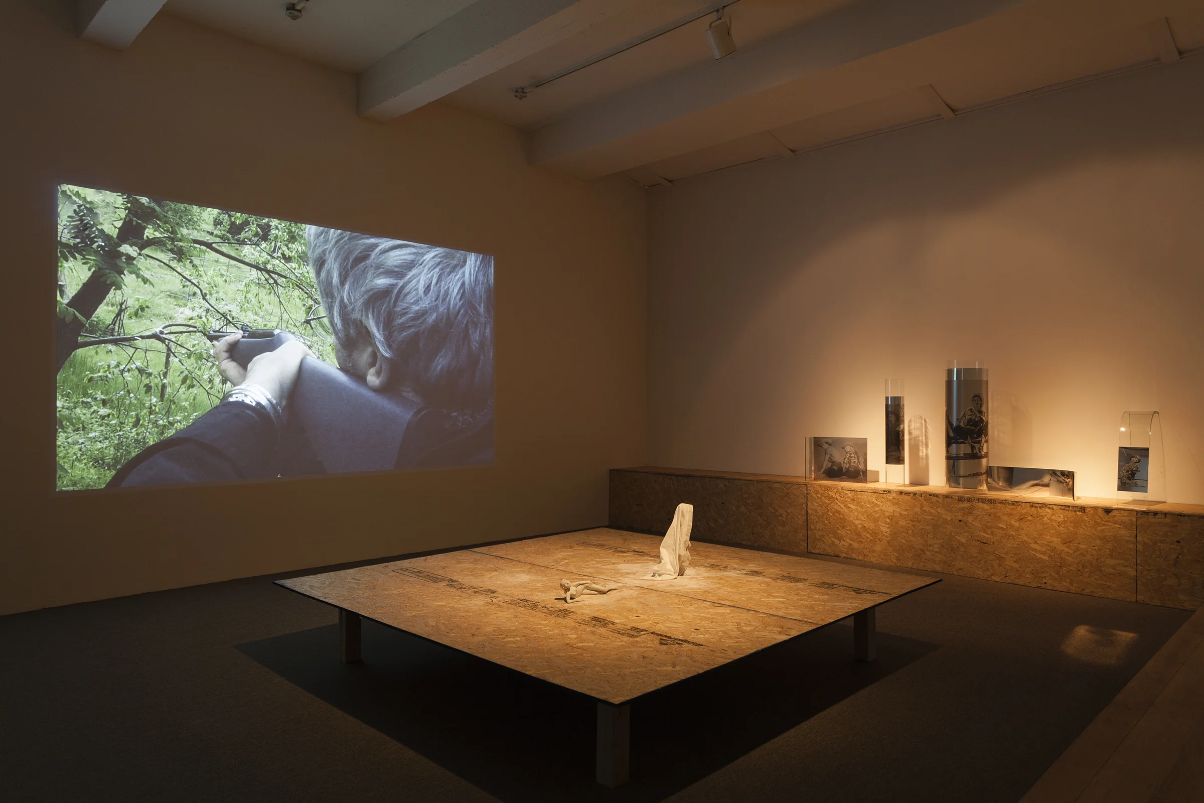 Installation view, Everybody Knows (Or Should) , Martos Gallery, New York, 2015