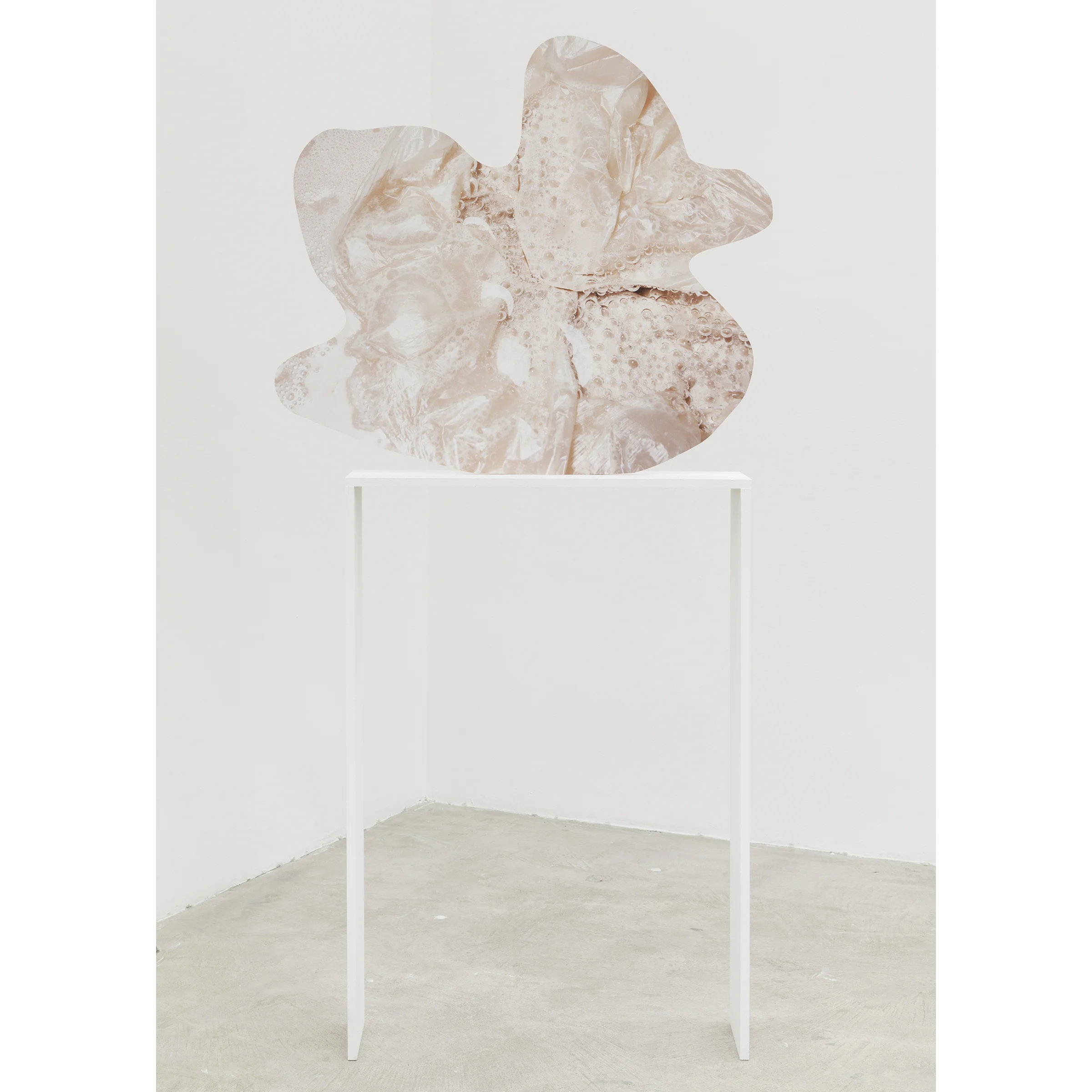 Rachel De Joode, Contiguity I , 2015, archival inkjet print on PVC, 31 x 33 in