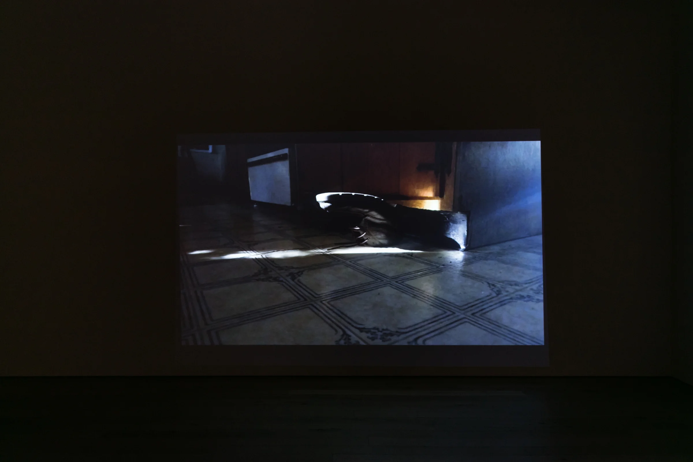 Installation view, Michel Auder, TRUMPED, 2018, HD video, color, sound by Matthias Grübel, 8:55 min.