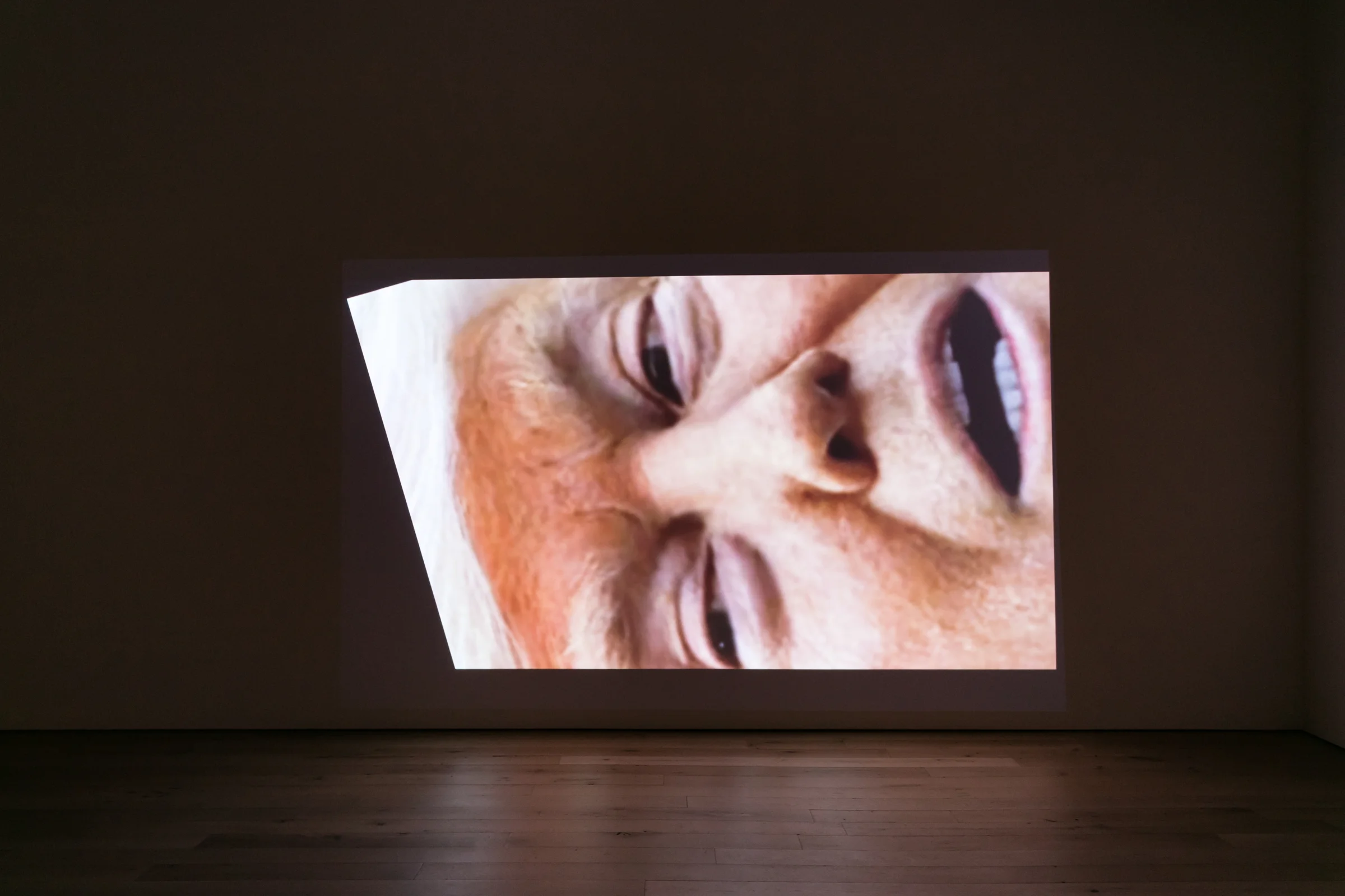Installation view, Michel Auder, TRUMPED, 2018, HD video, color, sound by Matthias Grübel, 8:55 min.