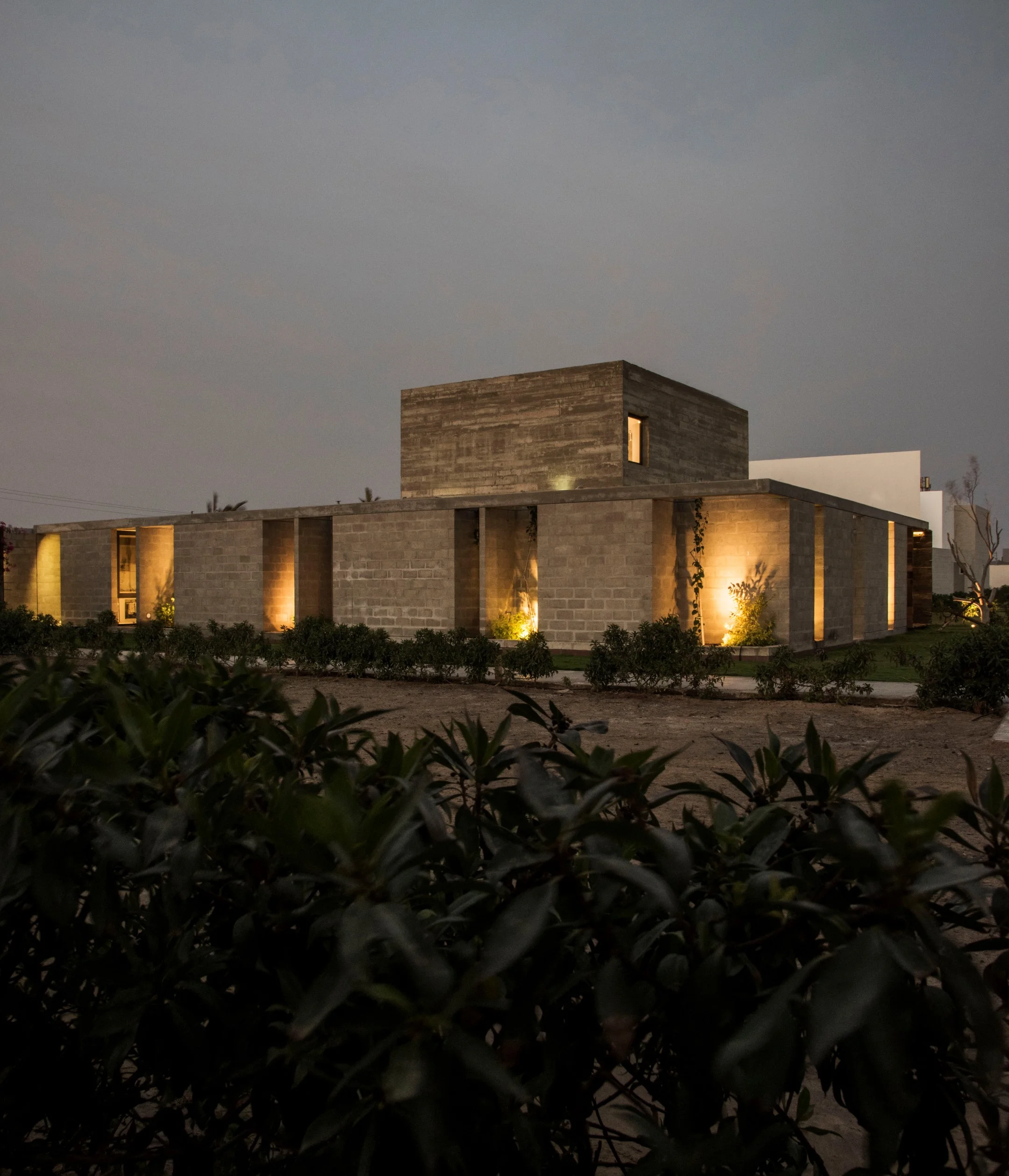 _DSC_111 (Custom).JPG