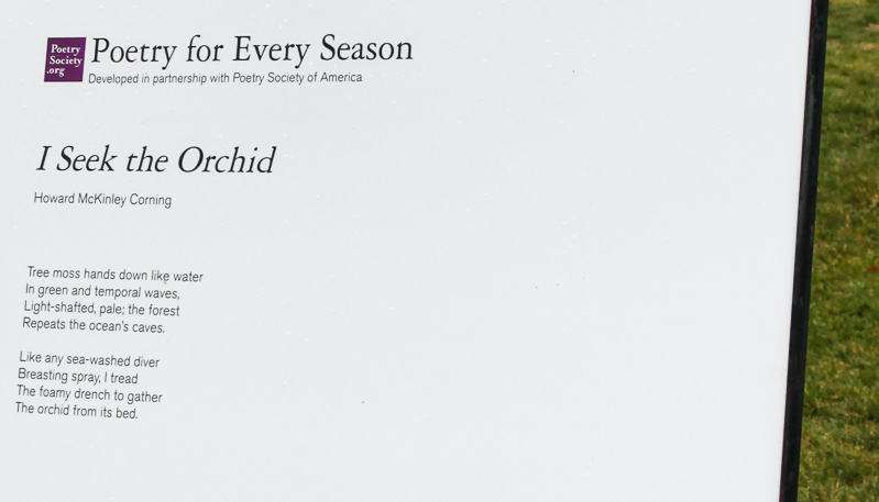 NYBG: 2016 Orchid Show: Orchidelirium