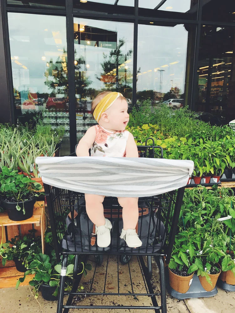 B loves helping me grocery shop!