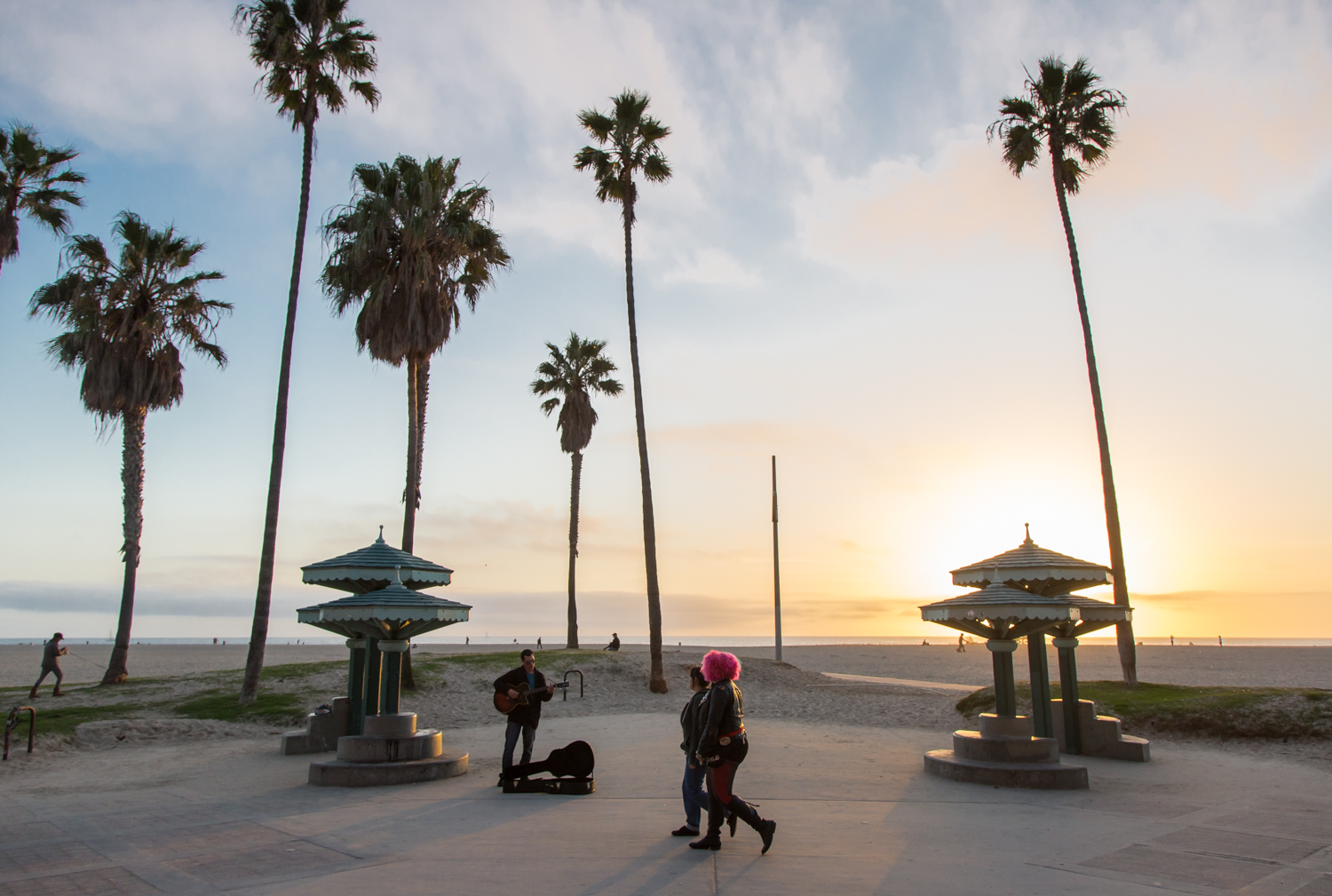  Venice Beach - California 