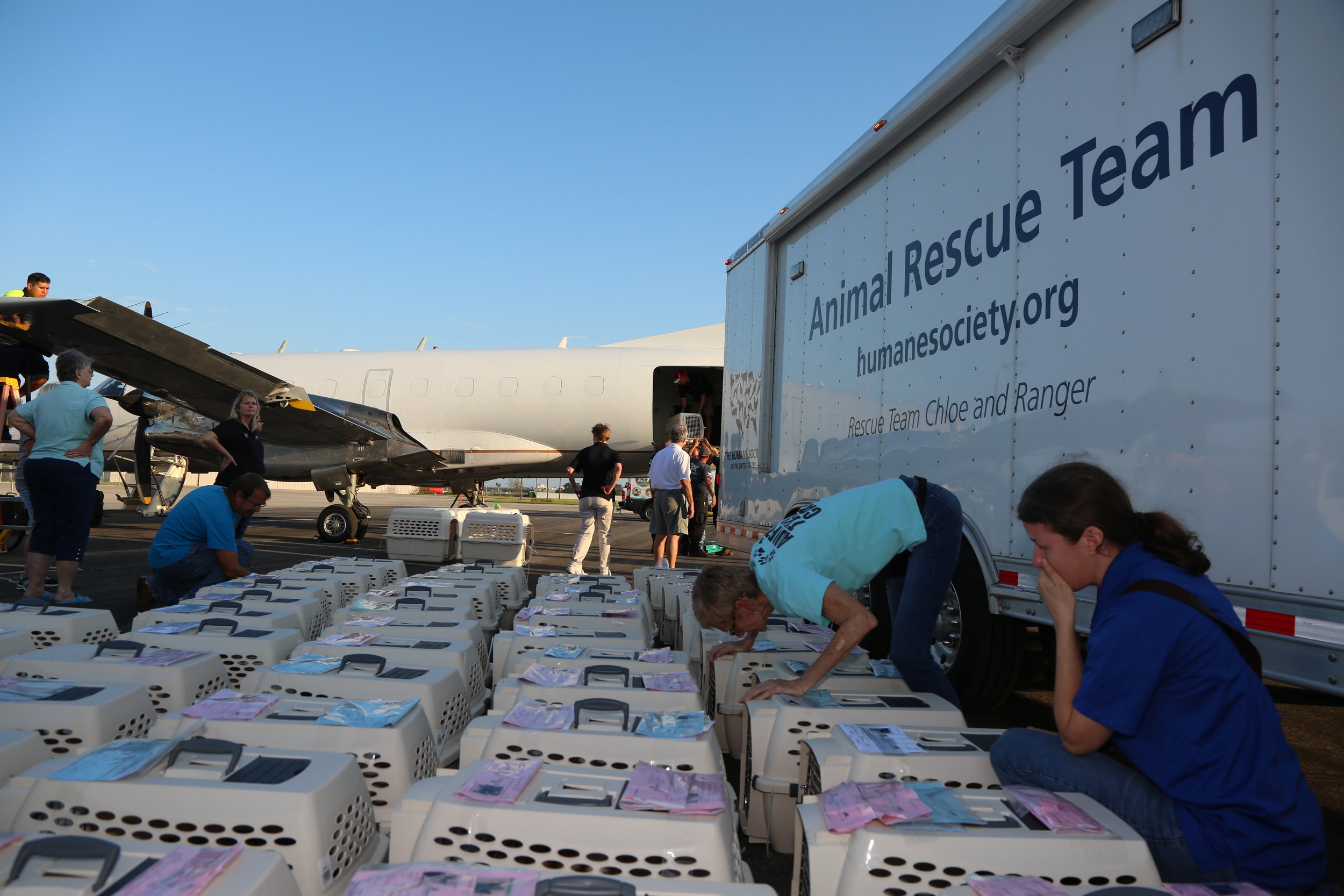  Some members of the Humane Society of the United States, the Humane Society of Naples and the Humane Society of San Diego, seen in an emotional farewell before 150 dogs and cats are about to be transported by plane to San Diego for future adoption. 