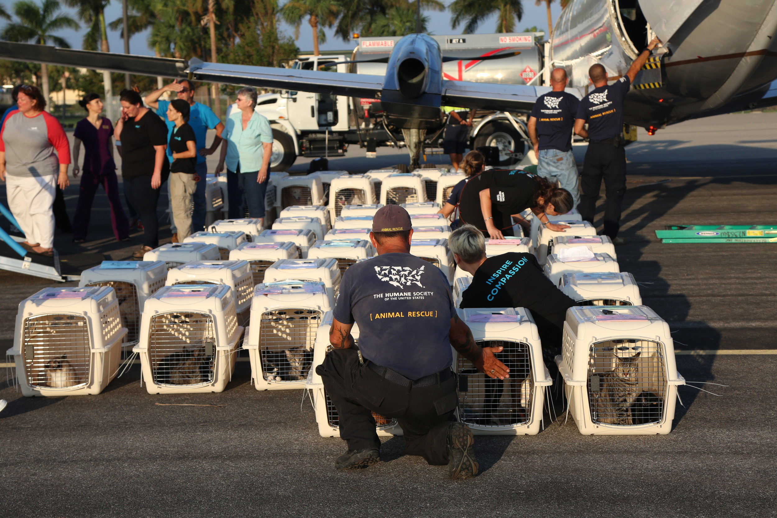  Some members of the Humane Society of the United States, the Humane Society of Naples and the Humane Society of San Diego comfort some of the 150 dogs and cats before they are loaded into a plane to be transported to San Diego for future adoption. T
