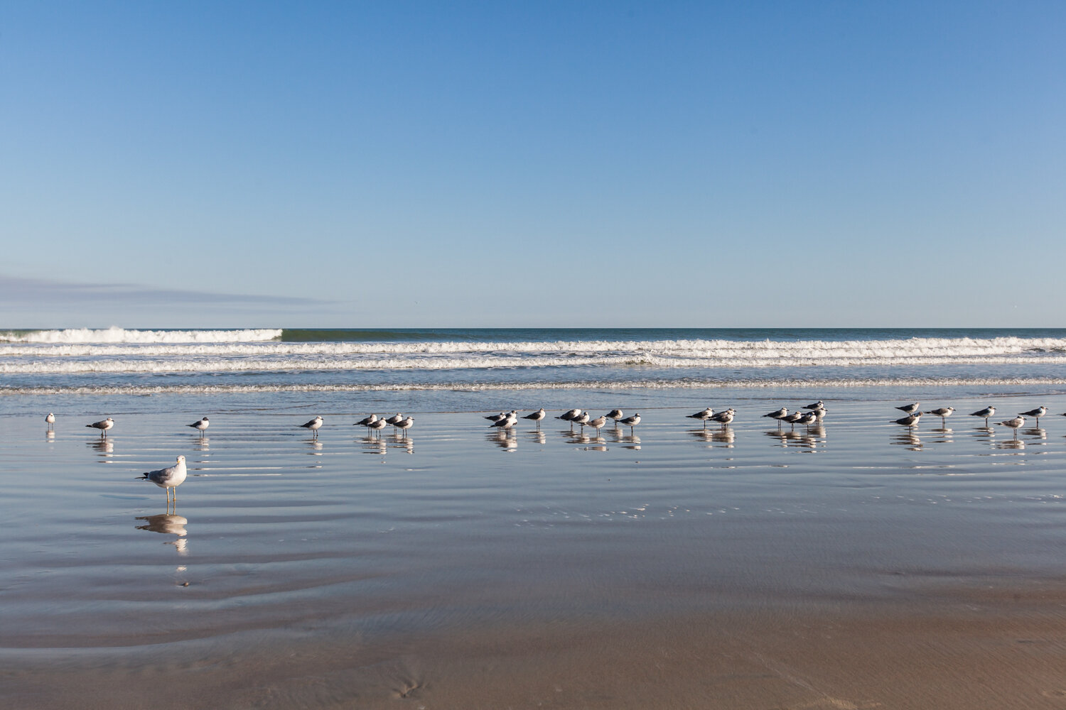 Beach Cape Canaveral L.jpg