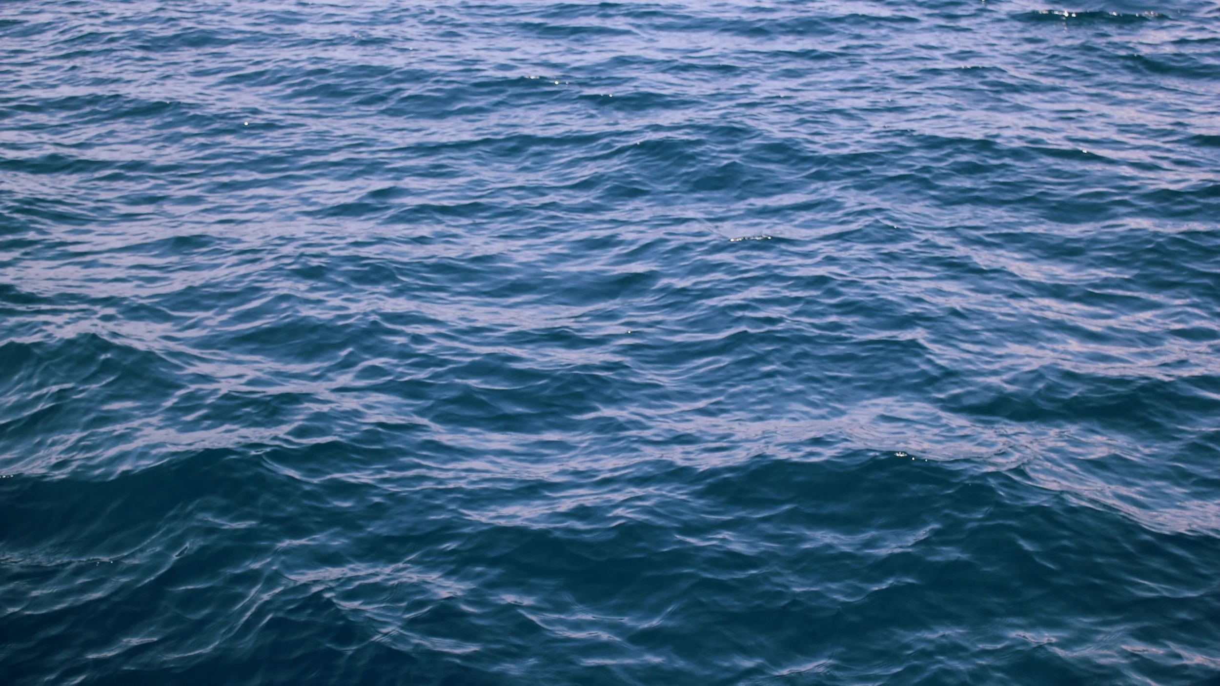 Help with Demolition & Restoration for #SCFloods Victims