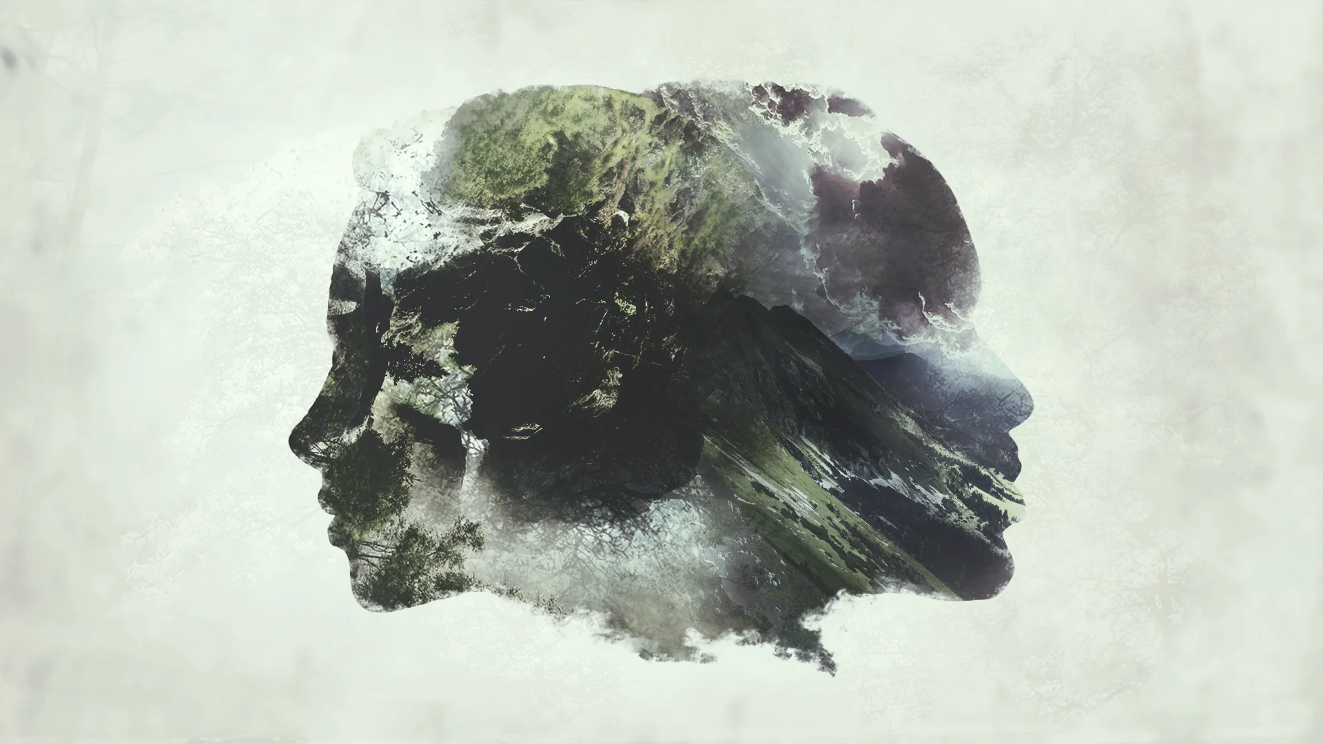 Theology of Sex Leader Resources