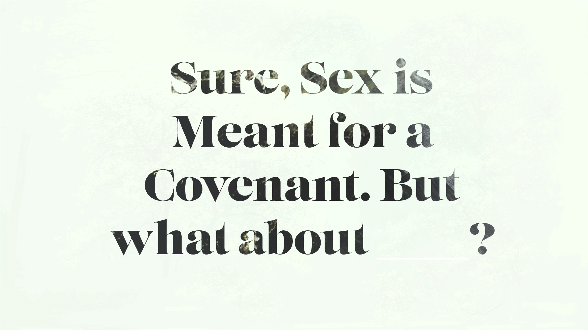 Sure, Sex is Meant for a Covenant image