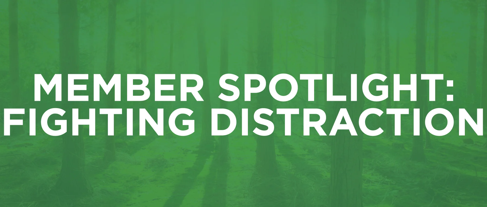 MemberSpotlight-2-Distraction.jpg