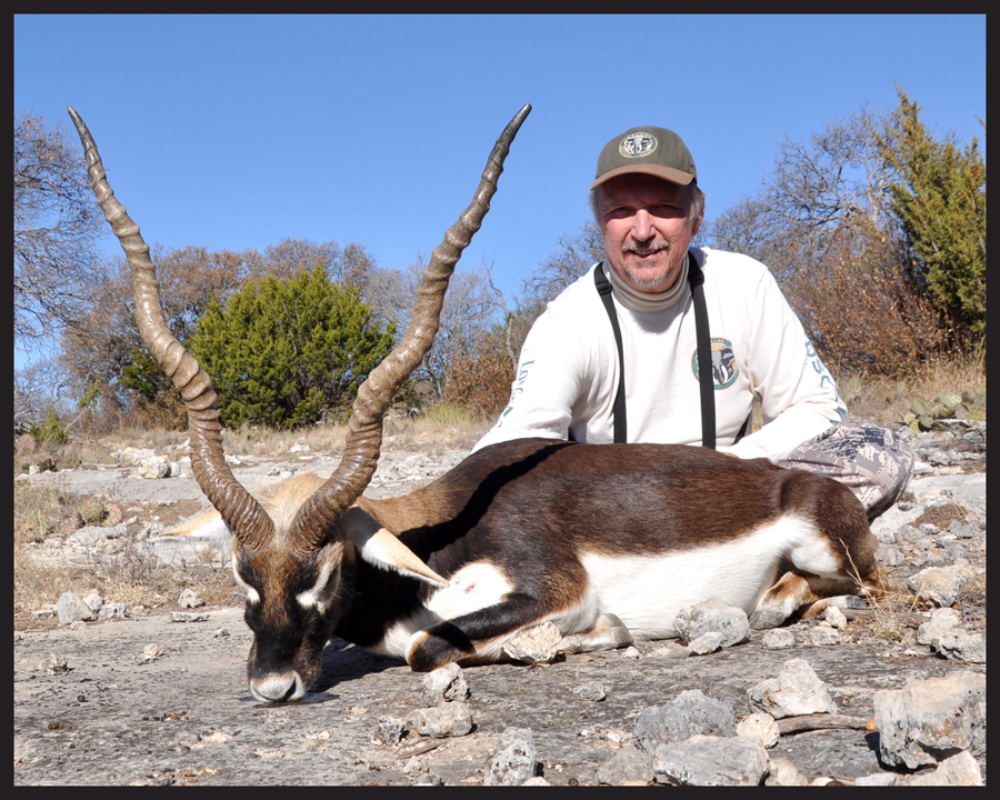 blackbuck7.jpg