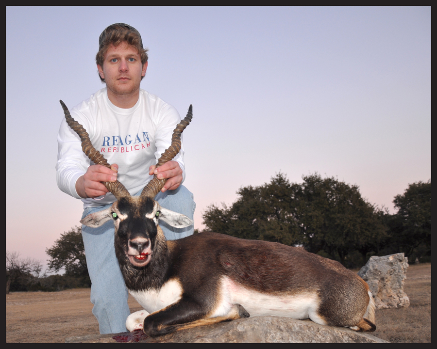 blackbuck6.jpg