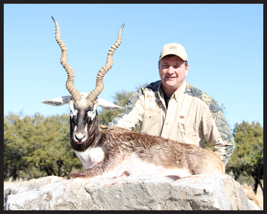 blackbuck22.jpg