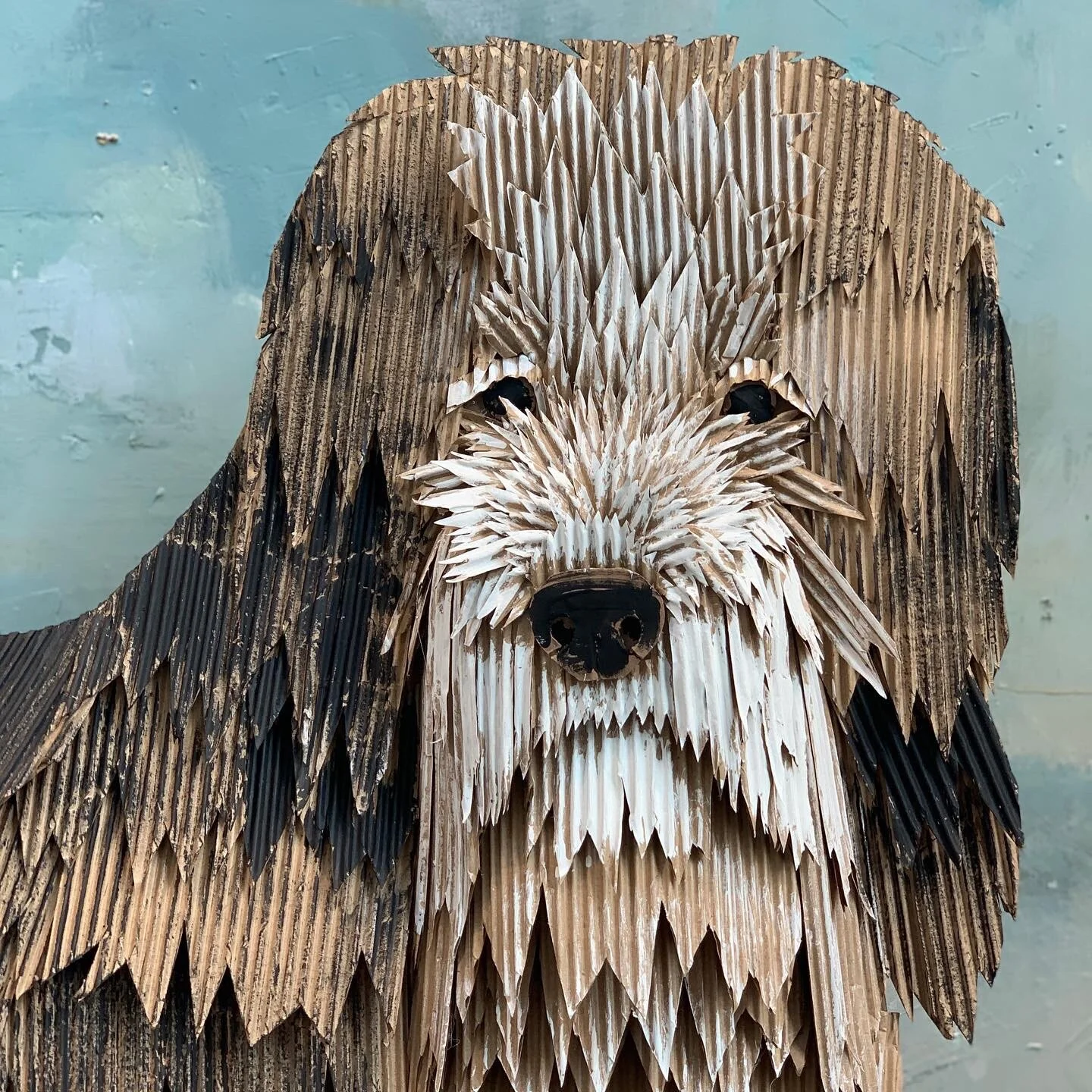 SheepDOg.JPG