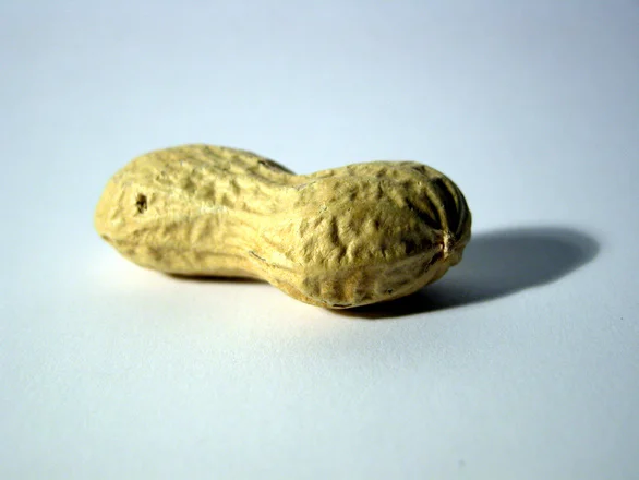 What is a Food Allergy?