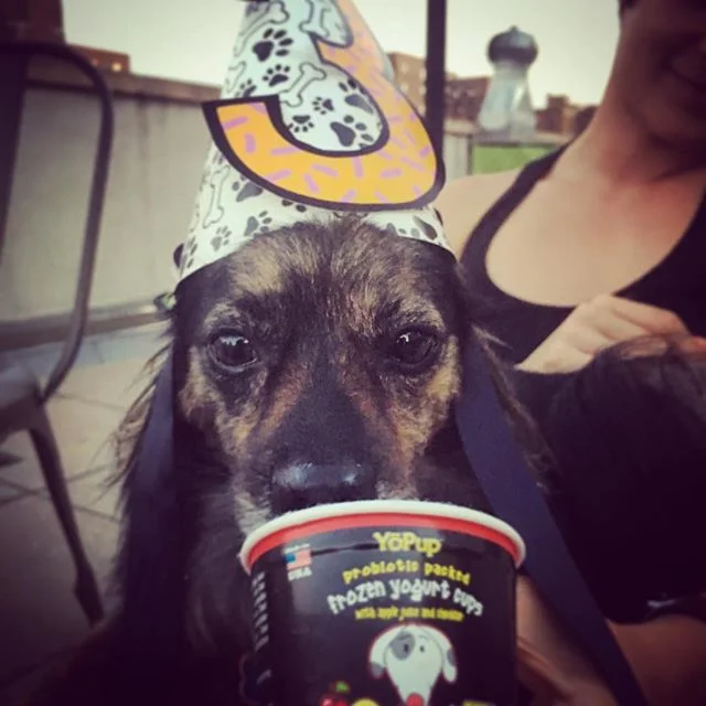 Pup turns 3!!! #theygrowupsofast @groana