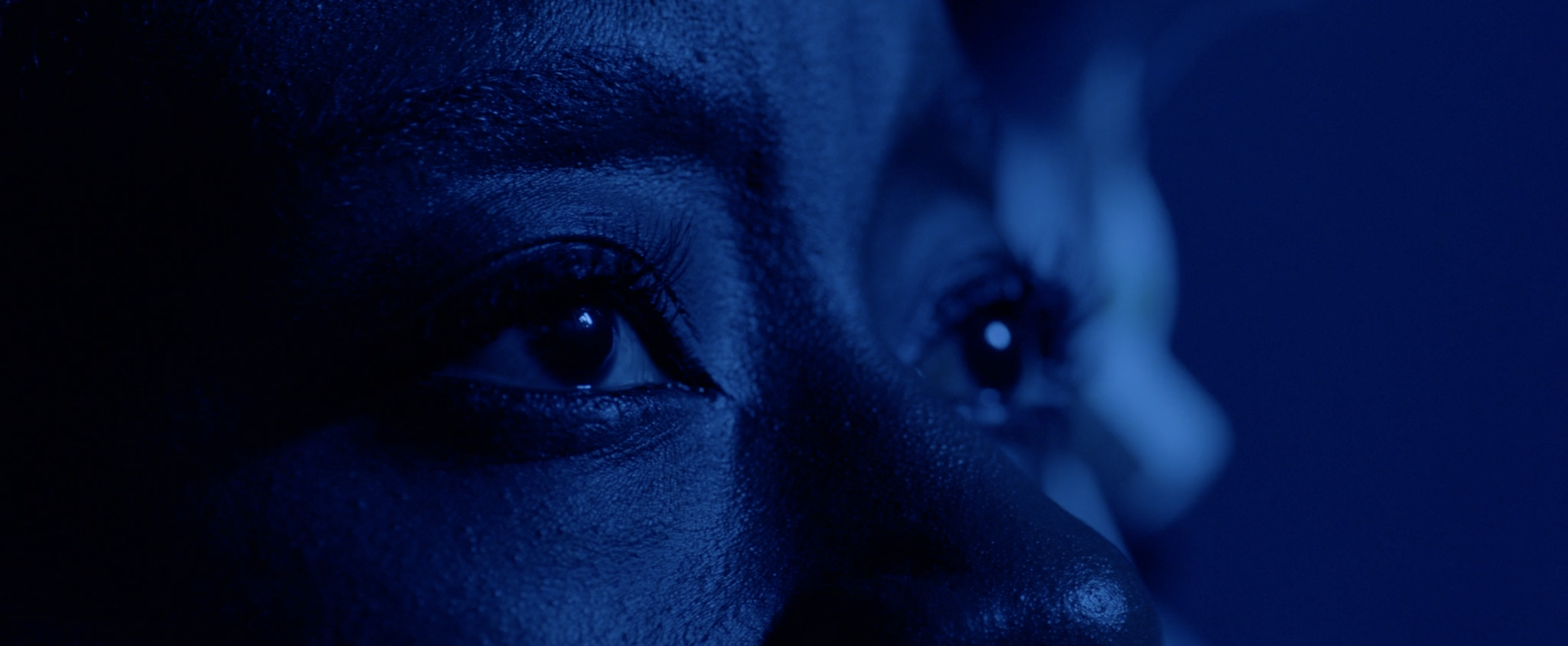 BLACKOUT - Stills 3.png