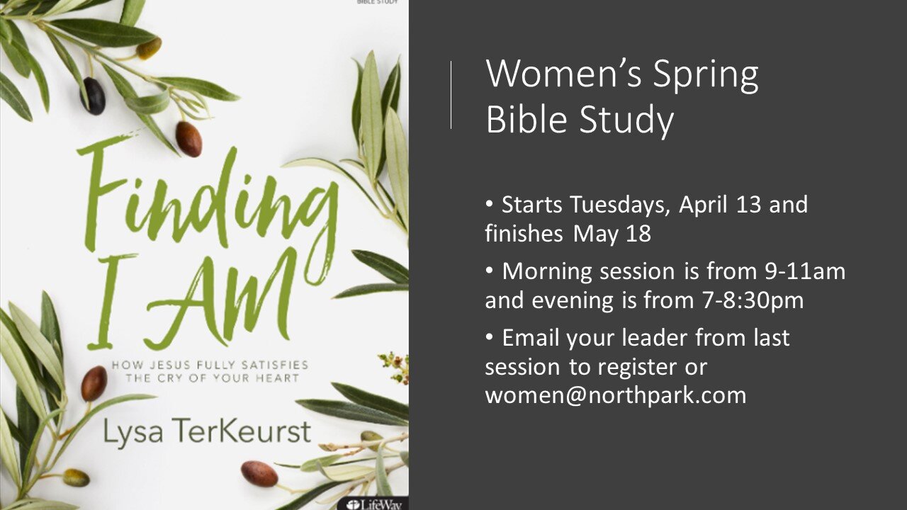 Women's Bible Study