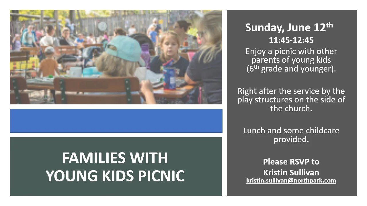 Families with Young Kids Picnic