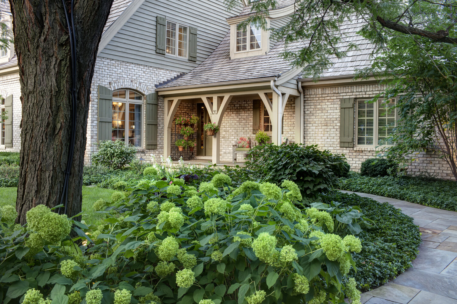 HHL Pollinators 2 2 02 Hydrangea and Front Walk- Thomas.jpg